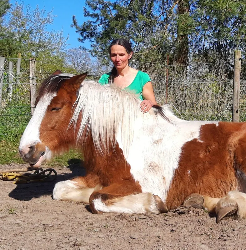 Verbonden moment met een paard