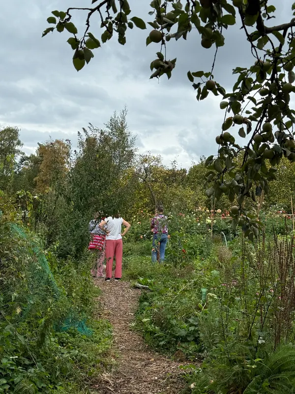 Live muziek in de tuin