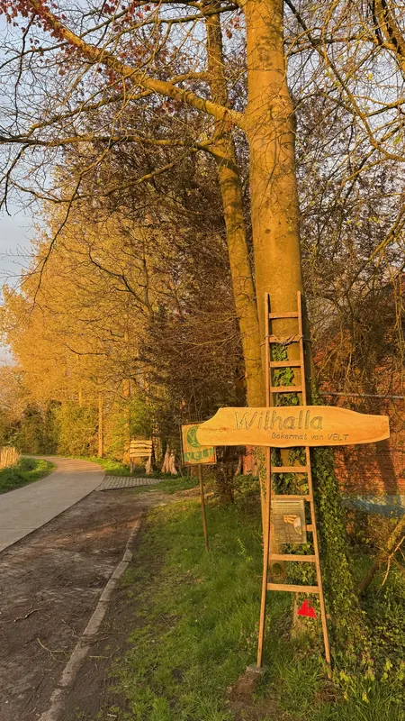 Houten wegwijzers tussen het groen
